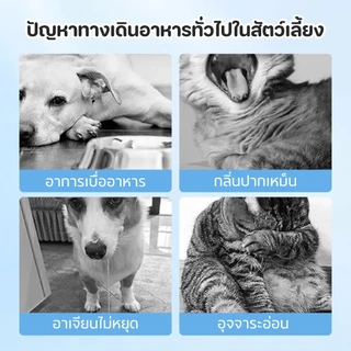 TUBI บิสกิตโปรไบโอติกสุนัข รสเนื้อวัวและแซลมอนขนมทานเล่นบำรุงจุลินทรีย์ในลำไส้และบำรุงผิวขนให้เงางาม