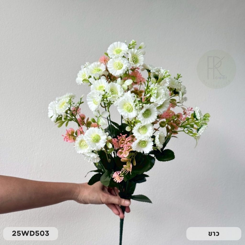 เบญจมาศ 12 ก้าน 36 ดอก หน้าดอก 4 cm. สูง 56 cm. ราคา ถูกที่สุด ดีลบีเคเค แกลเลอรีภาพที่ 6