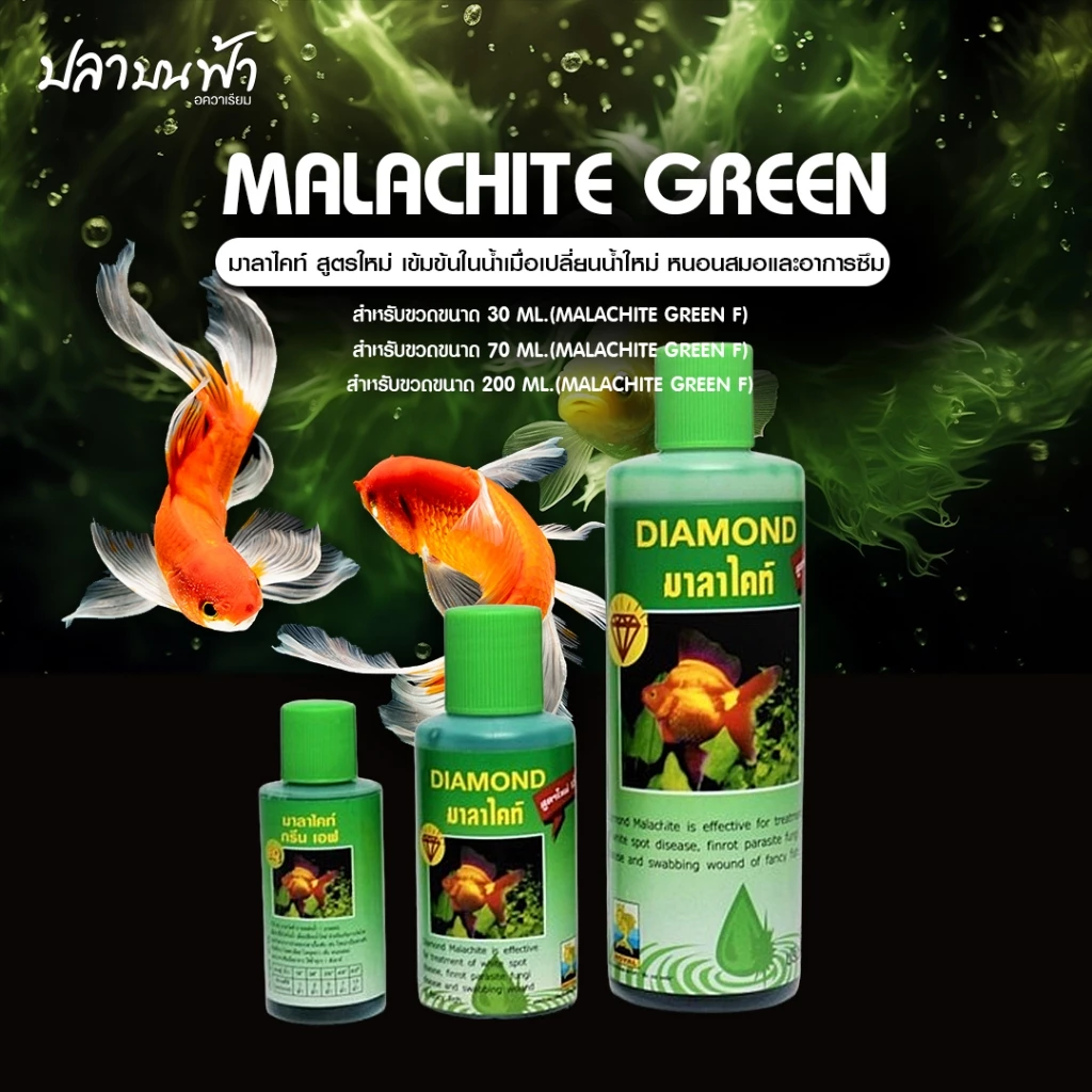 Diamond มาลาไคท์ จัดการน้ำในตู้ปลาเมื่อเปลี่ยนน้ำใหม่ เคลื่อนย้ายปลา สำหรับปลาสวยงาม ช่วยให้การดูแลปลาของคุณง่ายขึ้น