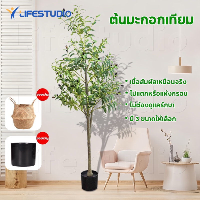 Life🎄ต้นโอลีฟ 🎄ต้นมะกอกปลอม พร้อมกระถางดำ กิ่งไม้ธรรมชาติและผลไม้ที่เหมือนจริง1.2/1.5/1.8m สำหรับตกแต่งบ้านออฟฟิศ