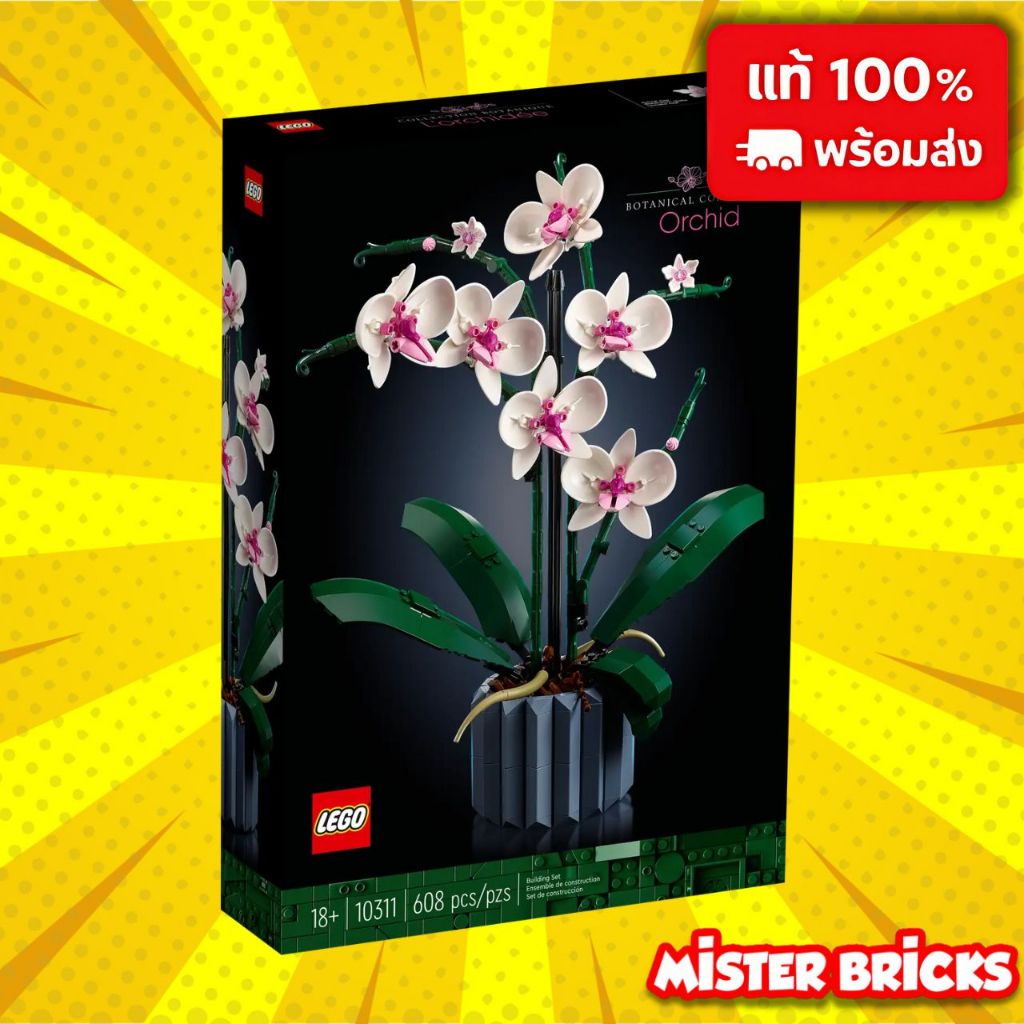 LEGO 10311 ดอกกล้วยไม้สุดหรู | ชุดต่อดอกไม้ Botanical ตกแต่งบ้านสไตล์มินิมอล | ของแท้ 100%
