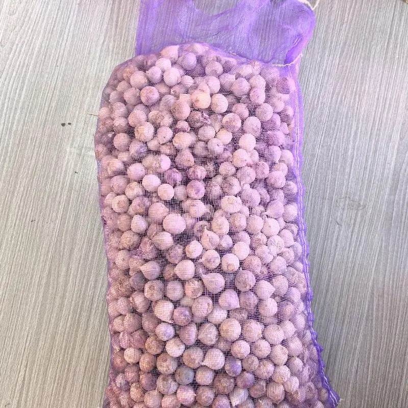 กระเทียมโทนยกกระสอบ 9.5-10 โล ไซส์กลาง