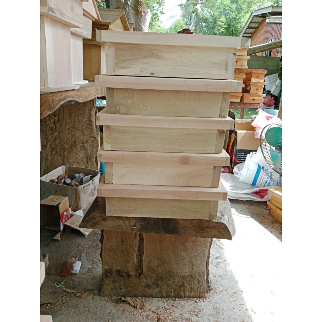กล่องชันโรง ขนาด A4 ขนาด 8x12x3 นิ้ว thumbnail 9