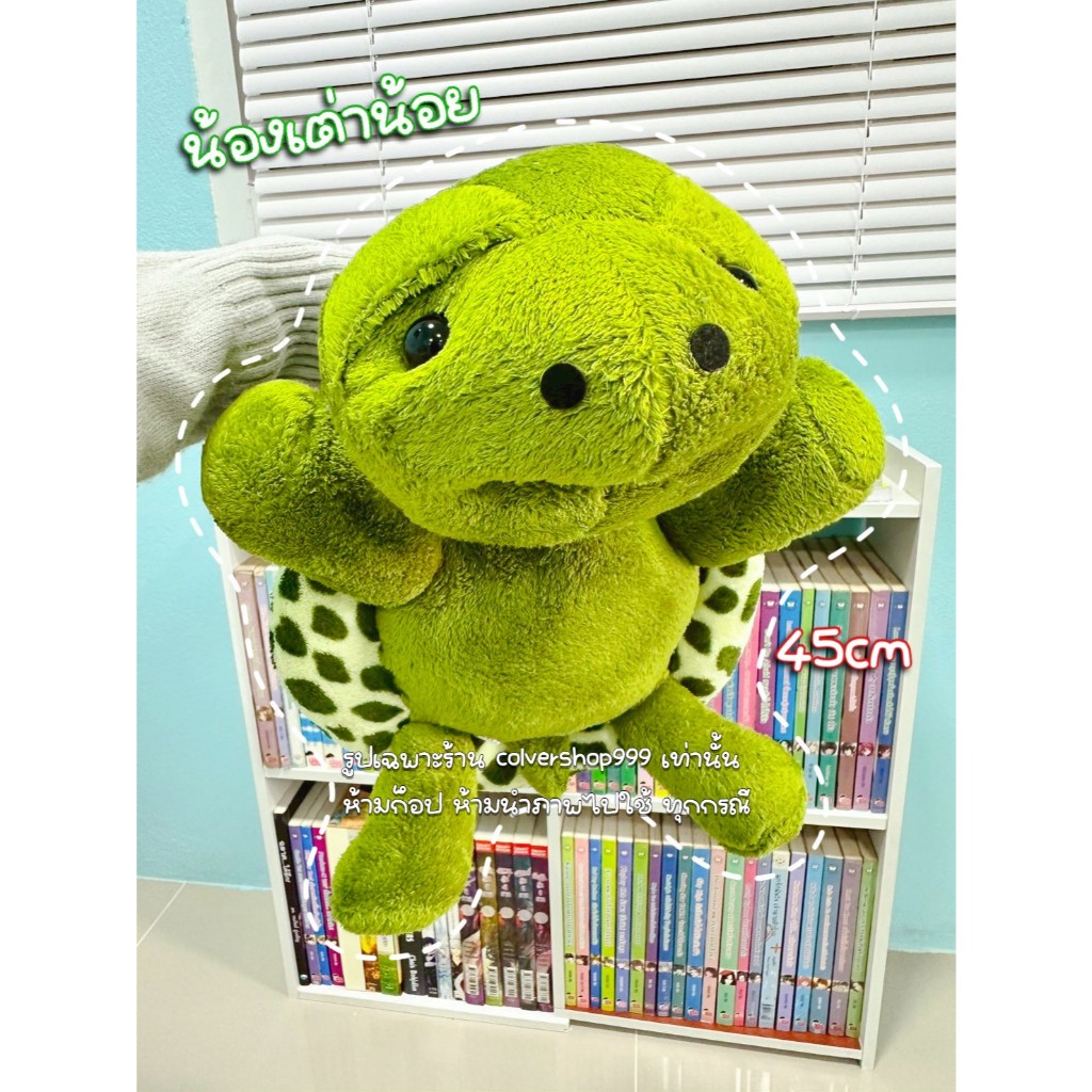 🐢 ตุ๊กตาเต่าผ้าขนนุ่ม ขนาด 14 นิ้ว (45-50 ซม.) | ตุ๊กตาน่ารัก พร้อมส่ง ของขวัญสุดคิ้วท์ 🎁