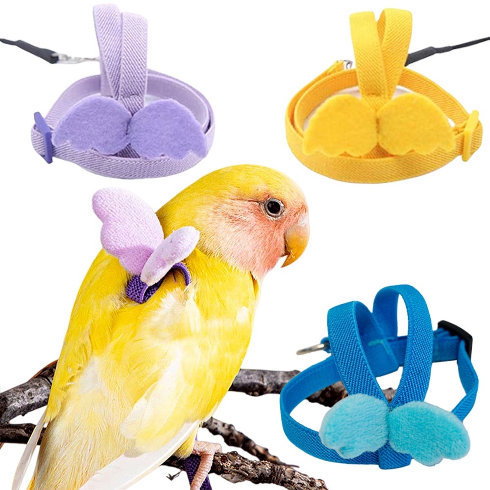 สายจูงนกแก้ว สามารถยืดได้ เชือกจูง สายเชือกฝึกบิน ยาว 1เมตร