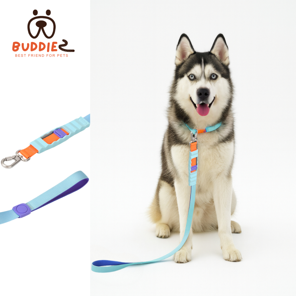Buddiez สายจูง น้องหมา ด้ามจับซิลิโคนนิ่ม วัสดุเชือกไนลอนพรีเมี่ยมเย็บแน่น