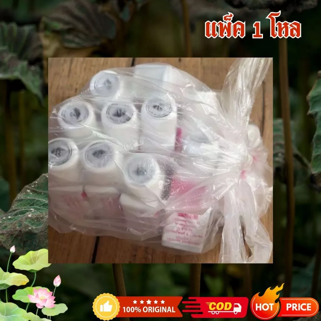 🌿56เบอร์🌿เม็ดอม (แพ็ค1โหล) 12กระปุก