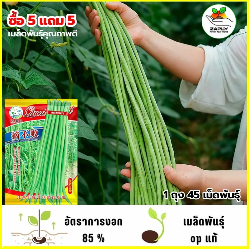 【ซื้อ 5 แถม 5 ฟร】🔥GGEW เมล็ดพันธุ์ ถั่วฝักยาว ลำน้ำพอง2 100 เมล็ด ตราศรแดง