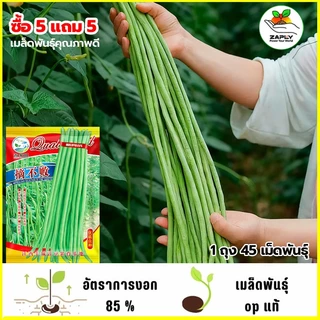 【ซื้อ 5 แถม 5 ฟร】🔥GGEW เมล็ดพันธุ์ ถั่วฝักยาว ลำน้ำพอง2 100 เมล็ด ตราศรแดง