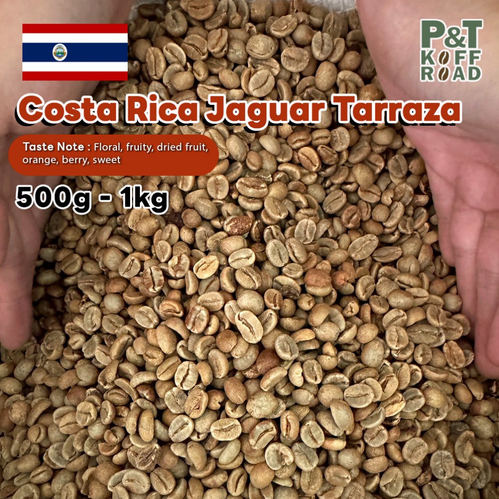 [พร้อมส่ง] สารกาแฟ Costa Rica Jaguar Tarrazu Honey Processed บรรจุ 500g. - 1 kg. P&T KoffRoad