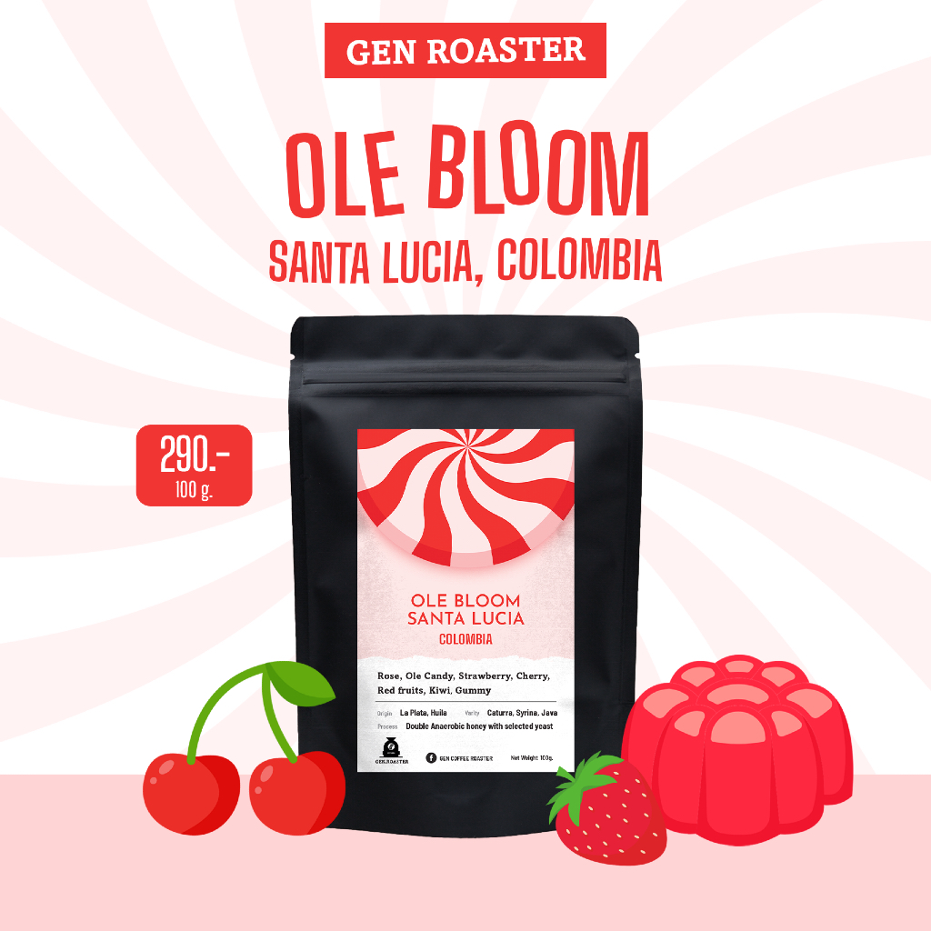 เมล็ดกาแฟคั่วอ่อน Colombia OLE Bloom Santa Lucia