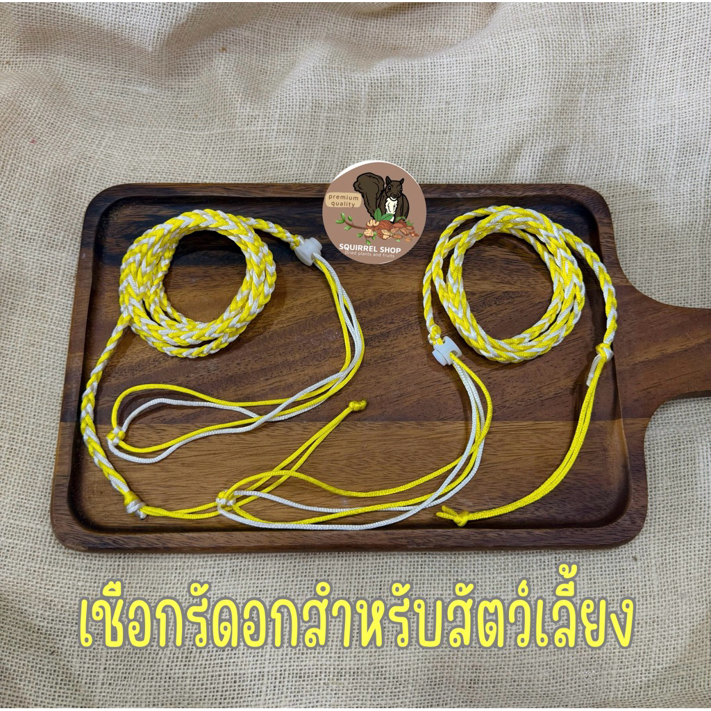 เชือกรัดอก ยาว1.4เมตร/ยาว2เมตรสำหรับกระรอก ชูก้า ชินชิล่า หนู แฮมเตอร์