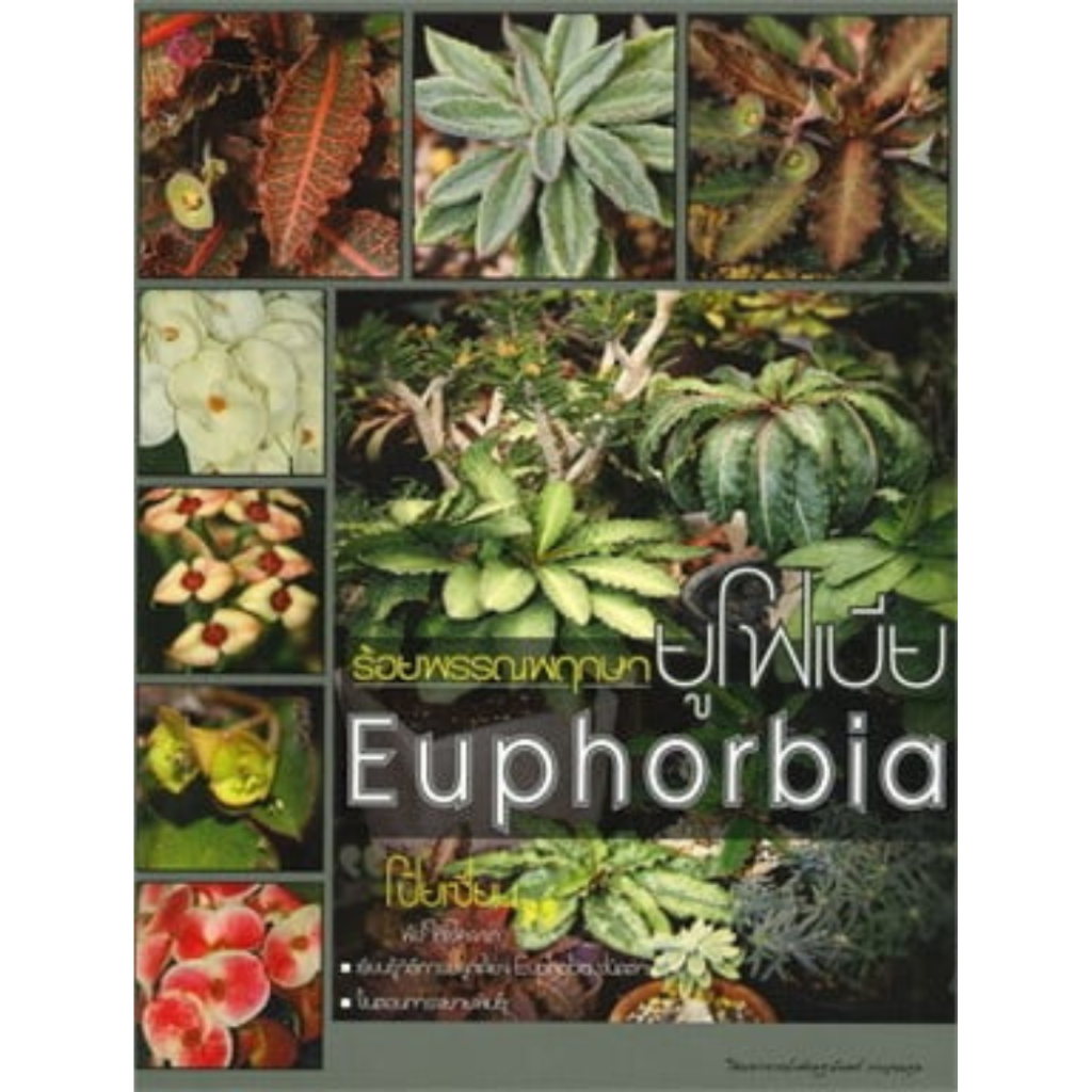 หนังสือ ร้อยพรรณพฤกษายูโฟเบีย Euphorbia ผู้เขียน: เศรษฐมันตร์ กาญจนกุล (มือ1 ขายตามสภาพ) บ้านและสวน ไม้ดอก ไม้ประดับ