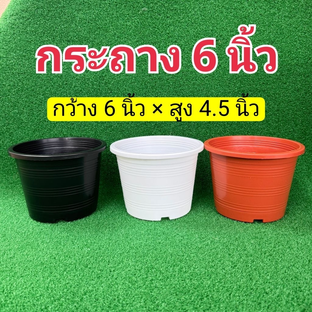 กระถางต้นไม้ กระถางพลาสติกทรงกลม 6 นิ้ว ชุด 30ใบ,50ใบ