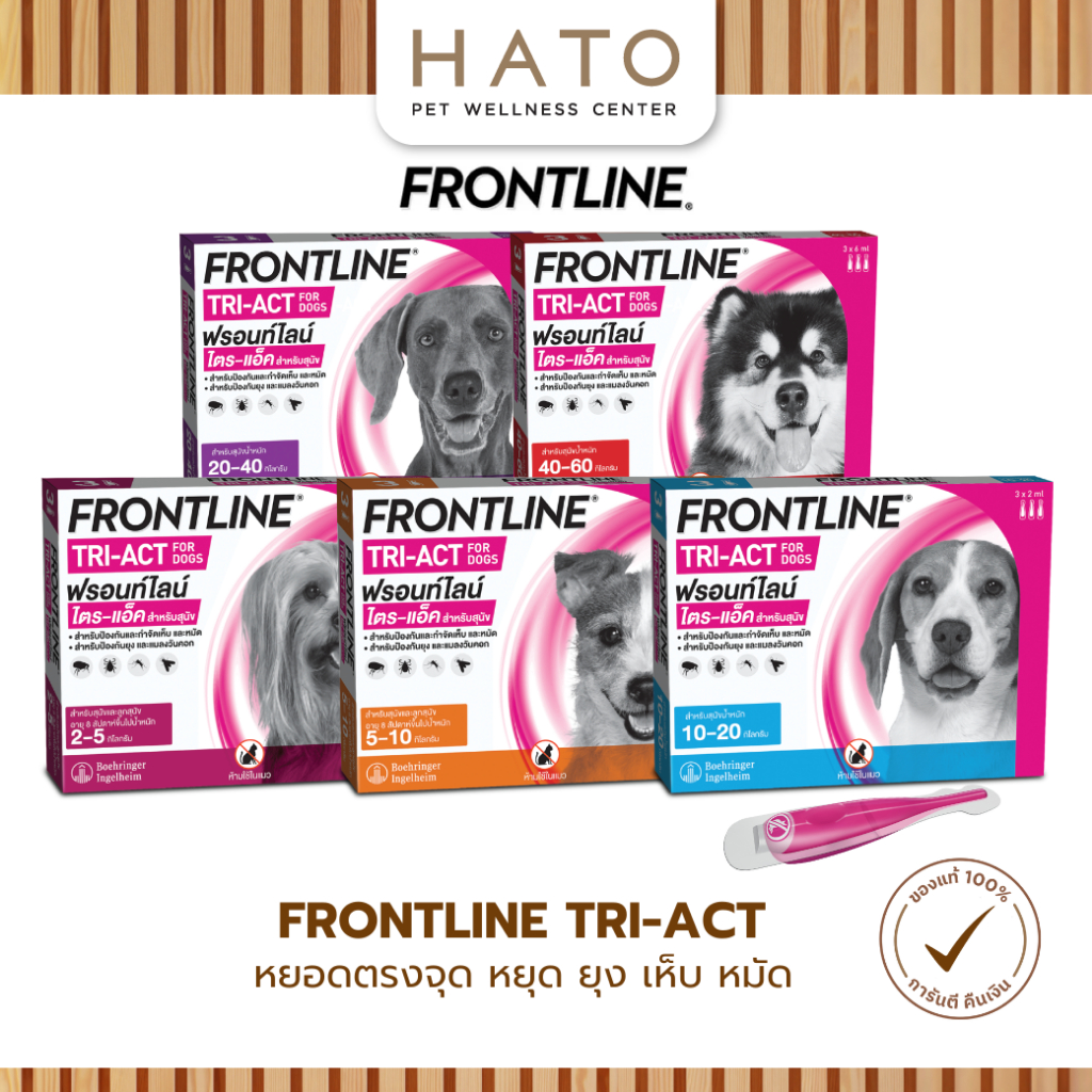 Frontline Tri-Act หยดตรงจุด หยุด ยุง เห็บ หมัด สำหรับสุนัขทุกสายพันธุ์ 1 กล่อง (3 หลอด)