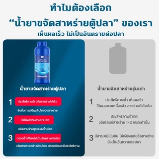 น้ำเขียวจะคืนเป็นน้ำใส‼️กำจัดตะไคร่น้ำเขียว กำจัดตะไคร่น้ำ น้ำยากำจัดตะไคร่น้ำ 550กรัม ลดตะไคร่น้ำ ยับยั้งการเกิดสาหร่าย