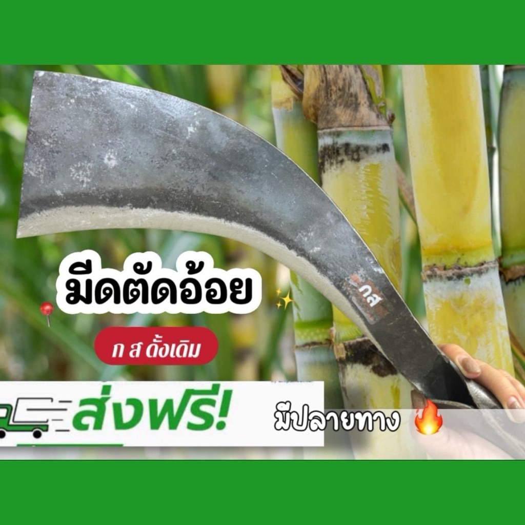 มีดตัดอ้อย ก ส ดั้งเดิมทำจากเหล็กกล้าอย่างดี น้ำหนักเบา ใช้สำหรับตัดอ้อยตัดมัน