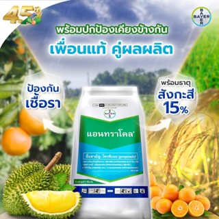 แอนทราโคล ขนาด 500 กรัม (Antracol) โพรพิเนบ 70% WP ป้องกันโร…