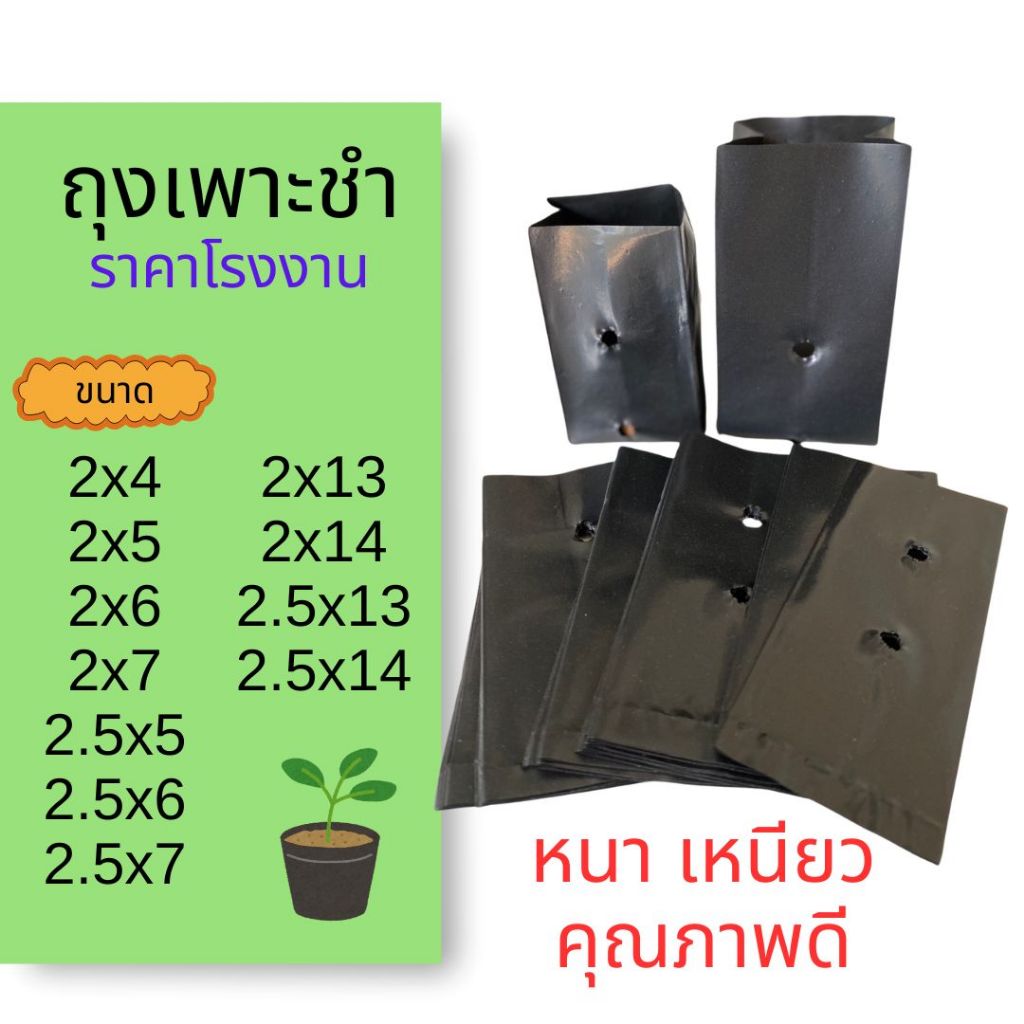 Size 2” (ถูกที่่สุด) ถุงเพาะชำคุณภาพดี ถุงเพาะต้นกล้า ถุงปลูกต้นไม้ หนาเ เหนียว ราคาโรงงาน