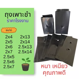 Size 2” (ถูกที่่สุด) ถุงเพาะชำคุณภาพดี ถุงเพาะต้นกล้า ถุงปลูกต้นไม้ หนาเ เหนียว ราคาโรงงาน