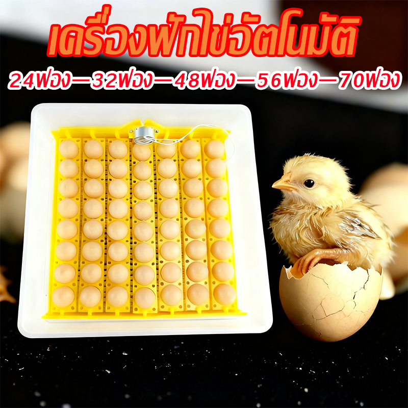 ถาดฟักไข่ รางฟักไข่ 24 32 48 56 70 ฟอง ถาดผลิกไข่ กลับไข่อัตโนมัติ สำหรับตู้ฟักไข่ไก่ ไข่เป็ด 220V