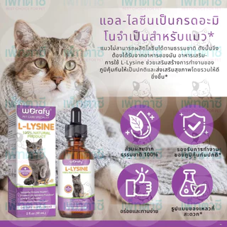 Worafy L-Lysine ไลซีนแมว สูตรน้ำ เสริมภูมิ ต้านหวัดแมว ไข้แมว ไอ จาม บำรุงสายตา วิตามินแมว