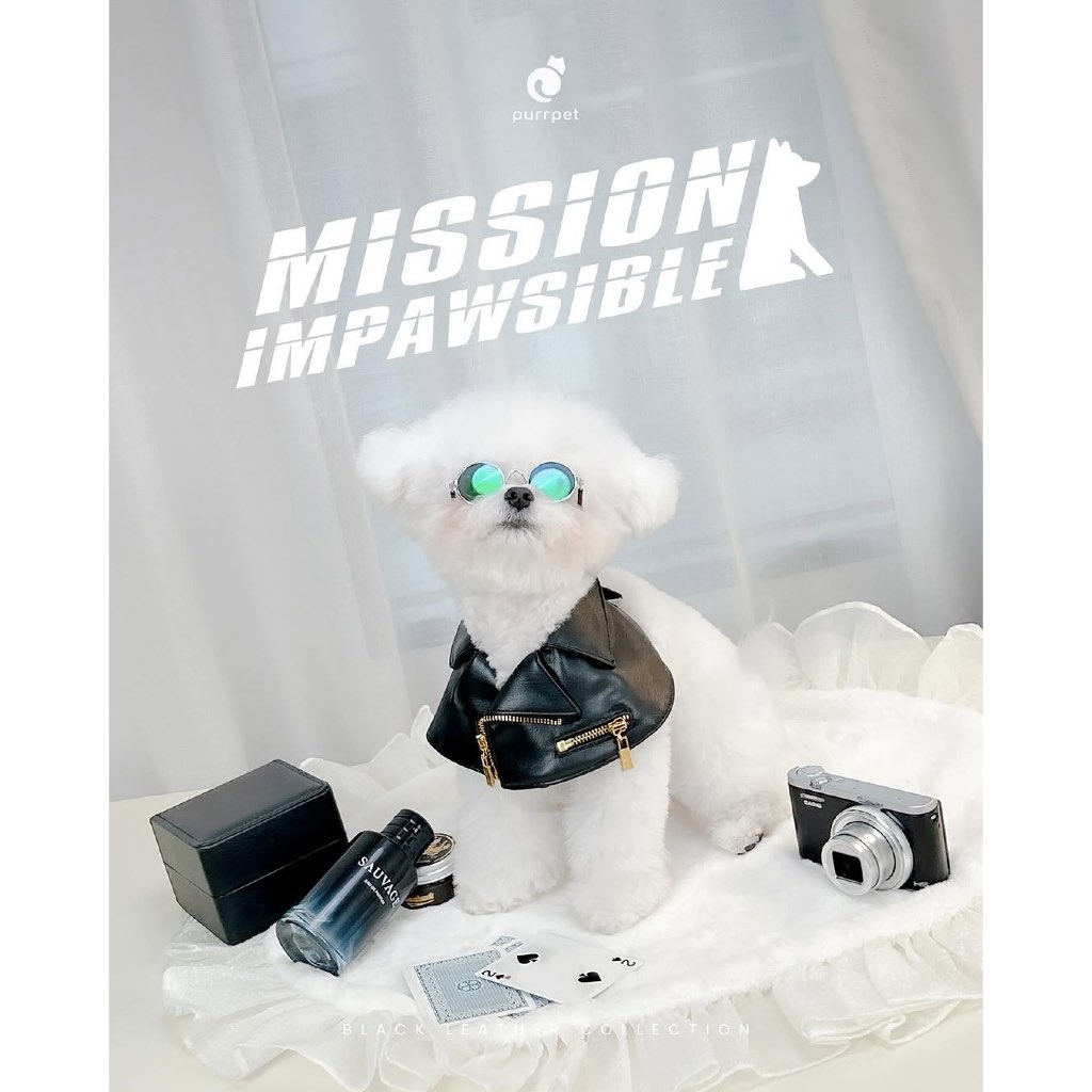 ชุดหนัง Mission Impossible Purrpet  🐾🖤✨