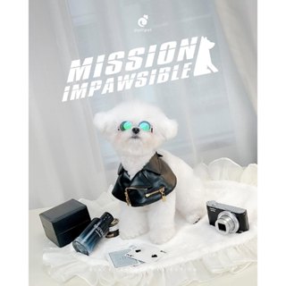 ชุดหนัง Mission Impossible Purrpet  🐾🖤✨