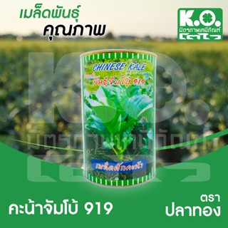 เมล็ดผักคะน้าจัมโบ้ ตราปลาทอง 500 กรัม