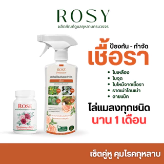 Rosy เซ็ทคู่หูยาเม็ดฝังดิน + สเปรย์ [เลือกสูตรได้] คุมโรคและแมลงนาน 1 เดือน เพลี้ยไฟ เชื้อรา บำรุงกุหลาบ