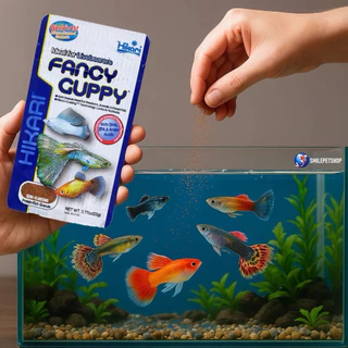 Hikari Fancy Guppy 22g. อาหารสำหรับปลาหางนกยูง