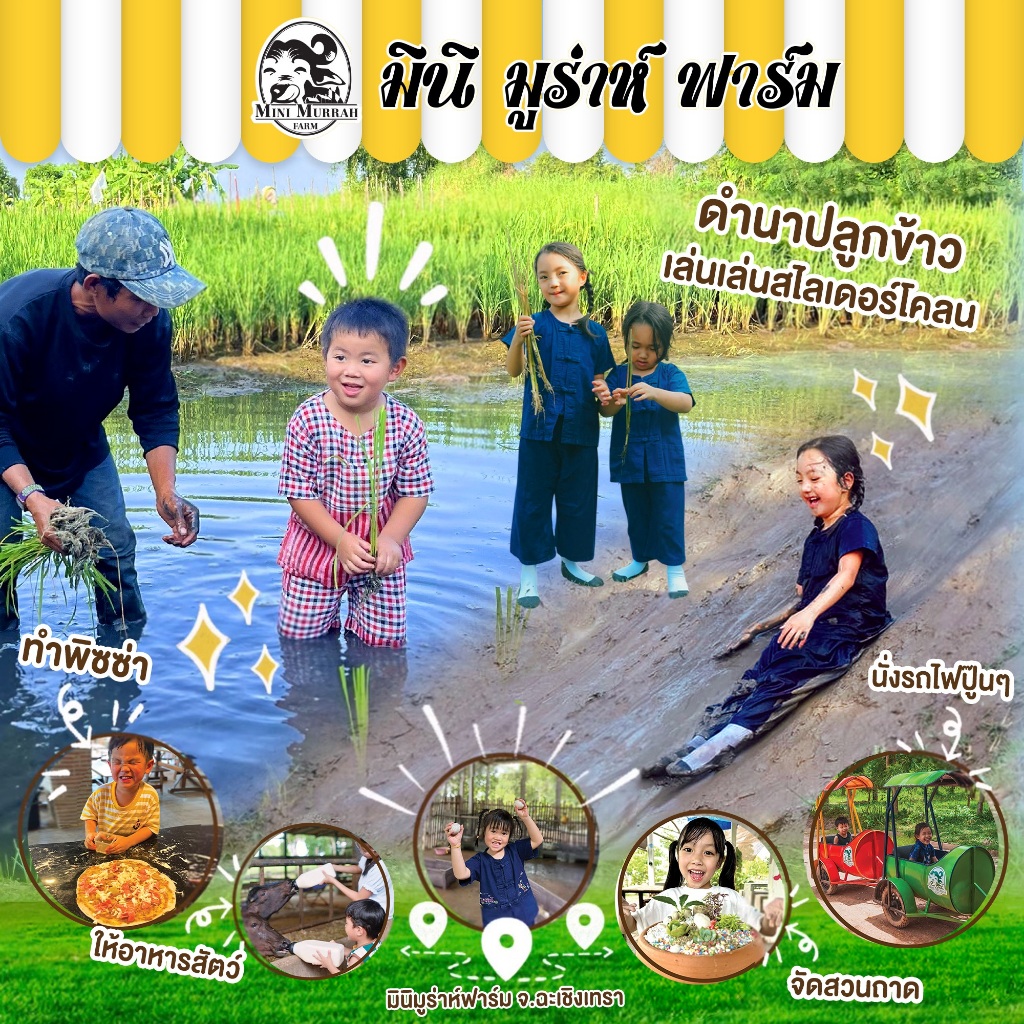 ตั๋ว มินิมูร่าห์ฟาร์ม KID PACKAGE คิดส์แพ็กเกจมินิมูร่าห์ฟาร์ม จ.ฉะเชิงเทรา (จัดส่งทางขนส่งเท่านั้น)