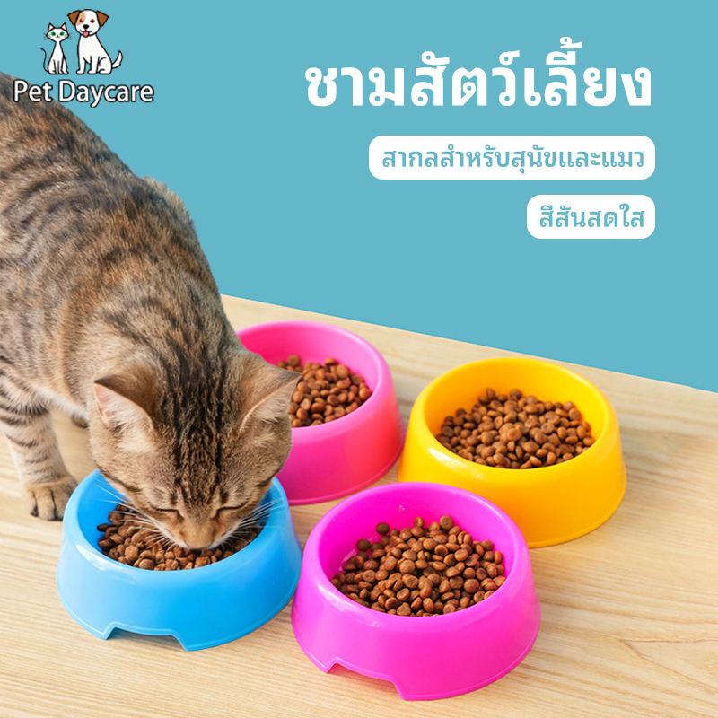 ชามอาหารสัตว์เลี้ยง ชามอาหารแบบ1หลุม ชามอาหารแบบกลม ชามอาหารแมว อาหารหมา ชามอาหารแบบพลาสติก(จัดส่งที่รวดเร็วเงินสดในการจ