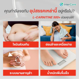 [60 เม็ด] InterCare - L-carnitine 500+ L-Arginine แอลคาร์นิทีน แอลอาร์จินีน เผาผลาญ สร้างกล้ามเนื้อ