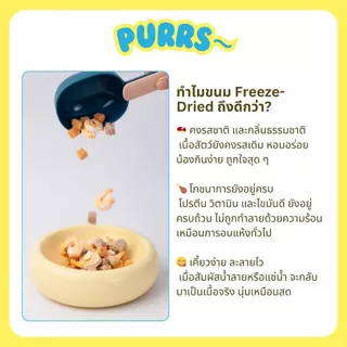 [ราคาส่ง] Purrs (My Paws) ขนมแมว Freeze-Dried ขนมสัตว์เลี้ยง ฟรีสดราย Treat & Topping ไม่เติมเกลือ เกรดคนทาน 6 ถุง