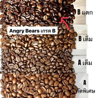 กาแฟดอยช้าง เกรดB บรรจุ 500g ตรา Angry Bears อราบิก้า100% คั่วสดใหม่ ทุกวัน ส่งตรงจากโรงคั่ว จ.เชียงราย