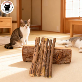 🌵 catnip5แท่ง ไม้มาทาทาบิ ก้านมาทาทาบิ ขัดฟันแมว ไม้แมวเมา matatabi ขัดฟันแมว ไม้ขัดฟัน 🌵