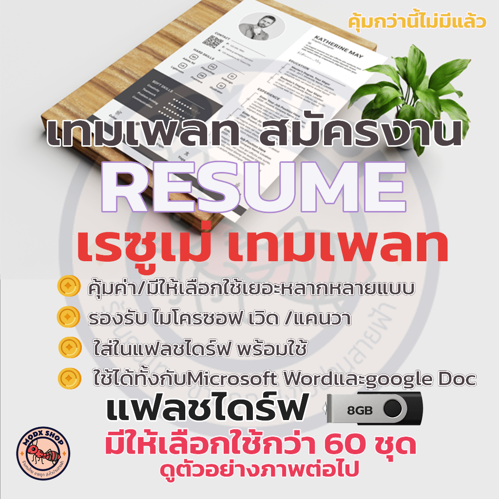006-USB แฟลชไดร์ฟเทมเพลทเรซูเม่สมัครงาน Resume Template/CV