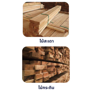 Queencosy โซฟา โซฟามินิมอล โซฟา 3 ที่นั่งท้าวแขน สไตล์มินิมอล (BS3) วัสดุโครงไม้แท้ รับประกันสินค้า