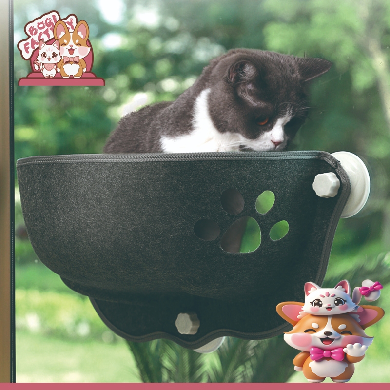 Boqi Factory เปลแมวติดกระจก ที่นอนแมว แบบติดกระจก มีเบาะรองนอน ที่นอนแมว   ที่นอนสัตว์เลี้ยง Sabaibe