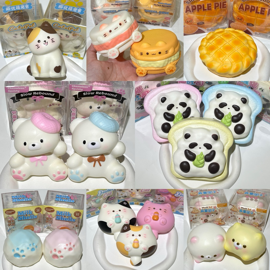 พร้อมส่ง‼️ สกุชชี่ ‘ CS ‘ Chamaleon 🍮🍒รวมทุกแบบ น่ารัก เนื้อดีนุ่มนิ่ม | sss store