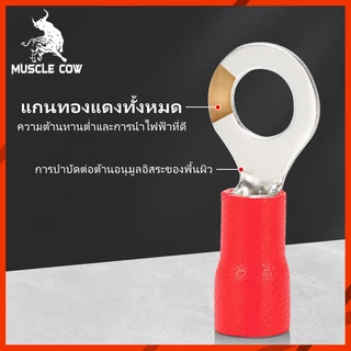 MUSCLE COW หางปลาชุดรวม 100 ชิ้น คละไซส์-สี ต่อสายไฟง่าย เหมาะงานไฟฟ้า