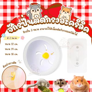 จักรปั่นหนูแฮมสเตอร์ ของเล่นหนู ของเล่นแฮมสเตอร์ ของเล่นสัตว…