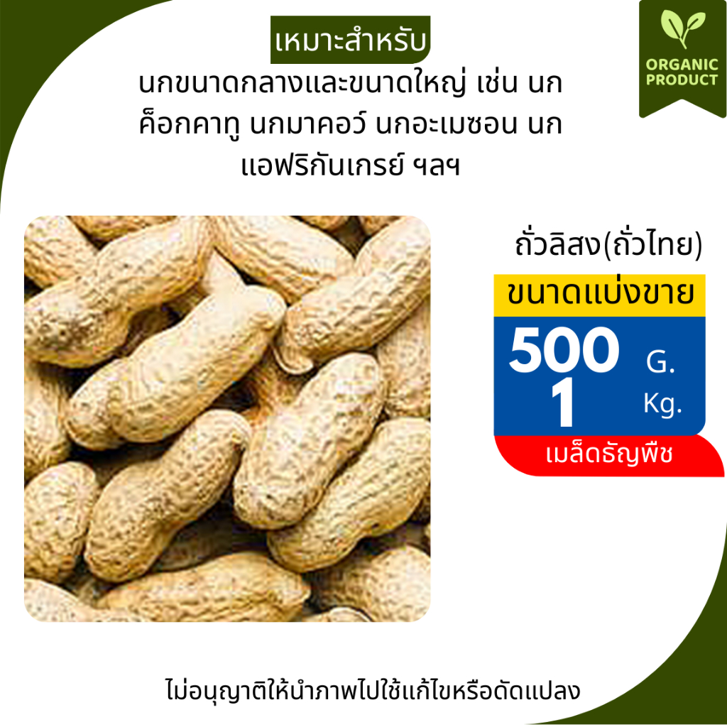 ถั่วลิสงอบแห้ง (ไทย/นอก)สำหรับ นก หนู กระรอก แพรี่ด็อกแและสัตว์ฟันแทะ มี3ขนาดให้เลือก1kg.,2kg.และ5kg. - รูปที่ 2