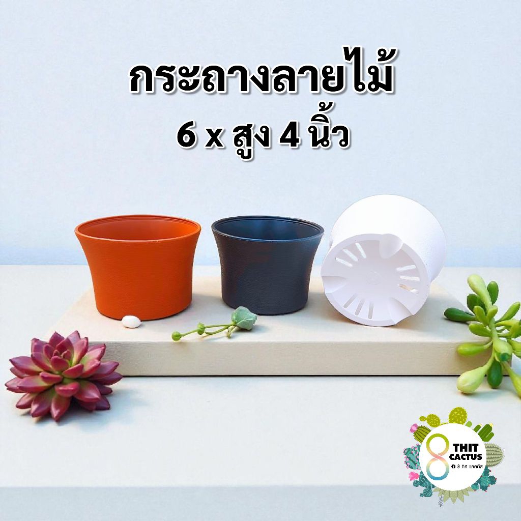 // กระถาง 6 นิ้ว // ลายไม้ กลม // พลาสติก แคคตัส กระบองเพชร ต้นไม้