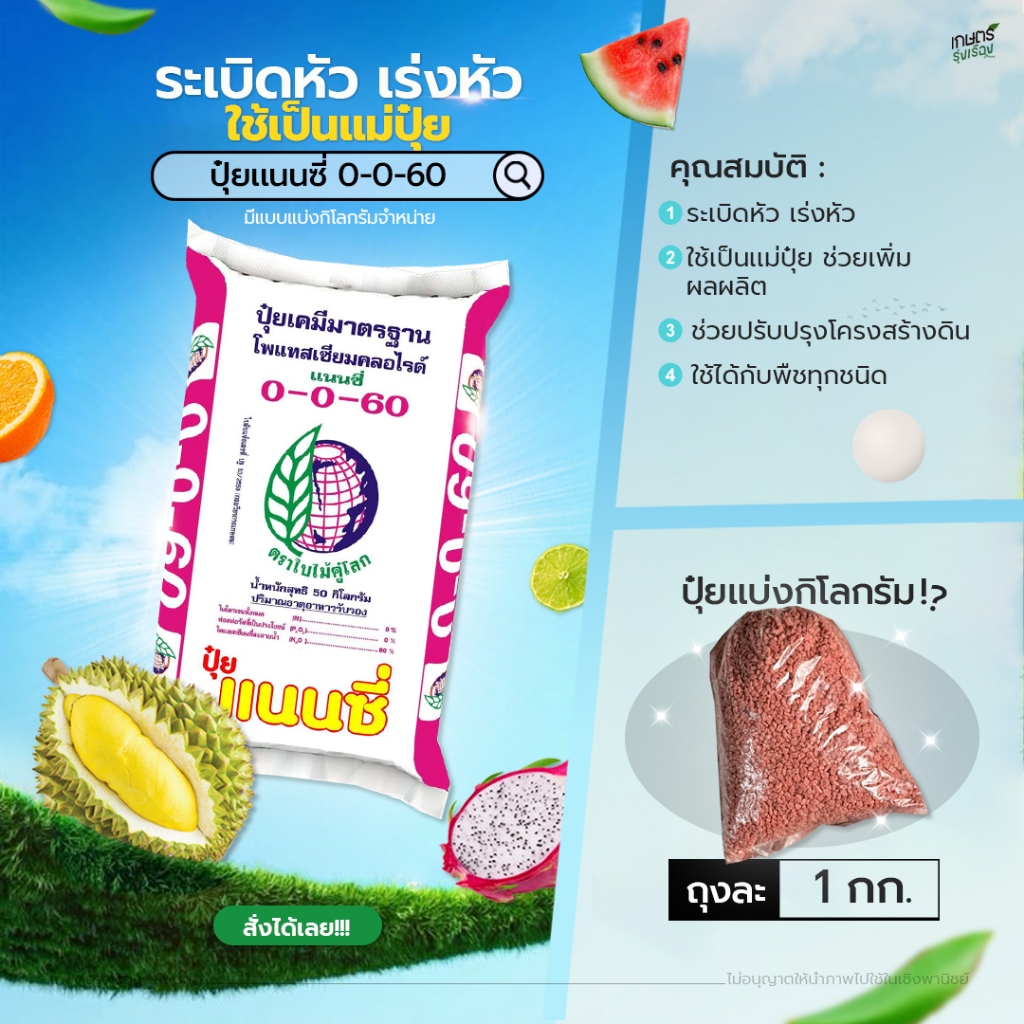 เเม่ปุ๋ย 0-0-60 (เเนนซี่) ระเบิดหัว เร่งหัว ใช้เป็นเเม่ปุ๋ย ใช้ได้กับพืชทุกชนิด 1 กก.