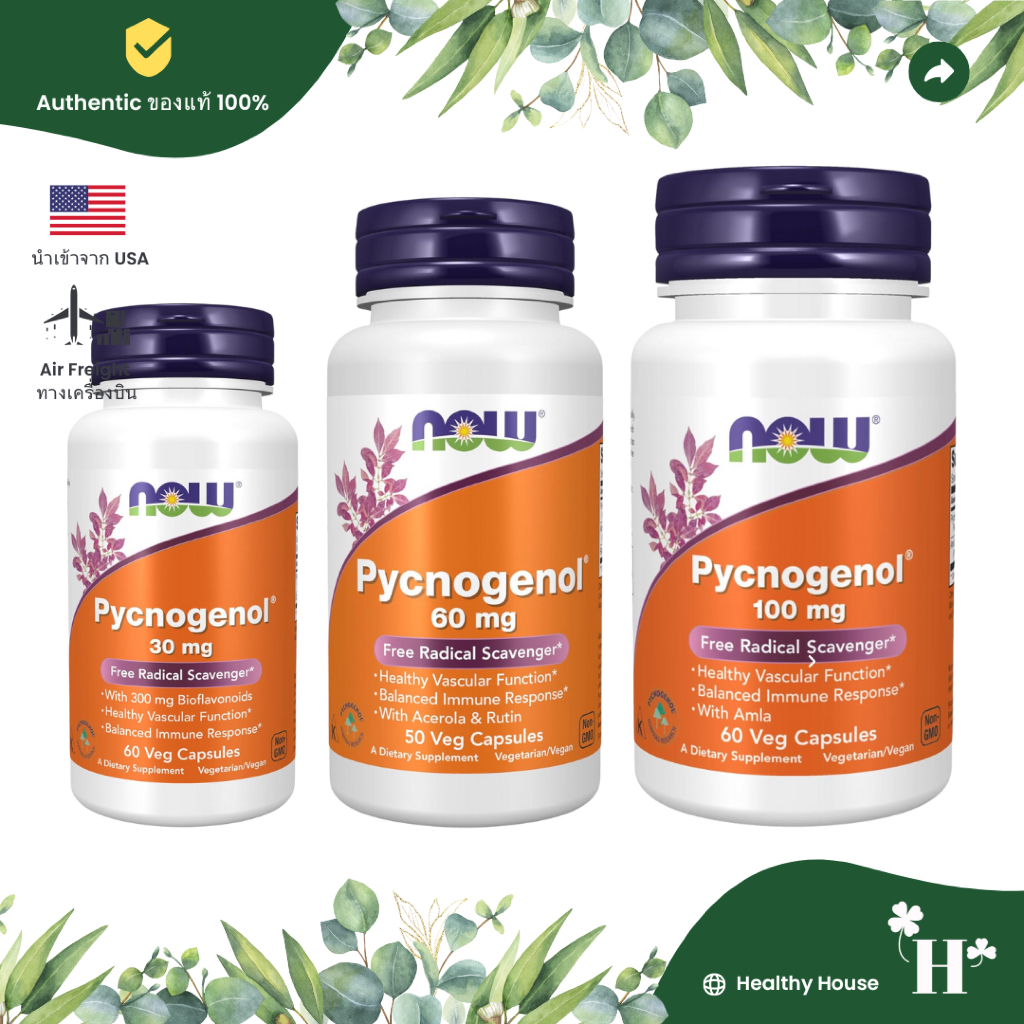NOW Foods Pycnogenol 30 mg l 60 mg l 100 mg วิตามินผิว สารต้านอนุมูลอิสระและภูมิคุ้มกัน