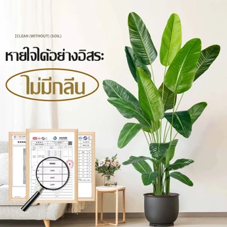 GAIDING【ต้นฉบับนักจัดดอกไม้】120/150/180cm ต้นไม้ปลอม ต้นไม้ปลอมใหญ่ ต้นมะกอกปลอม สไตล์นอร์ดิกอิน ไม่ต้องบำรุงรักษา