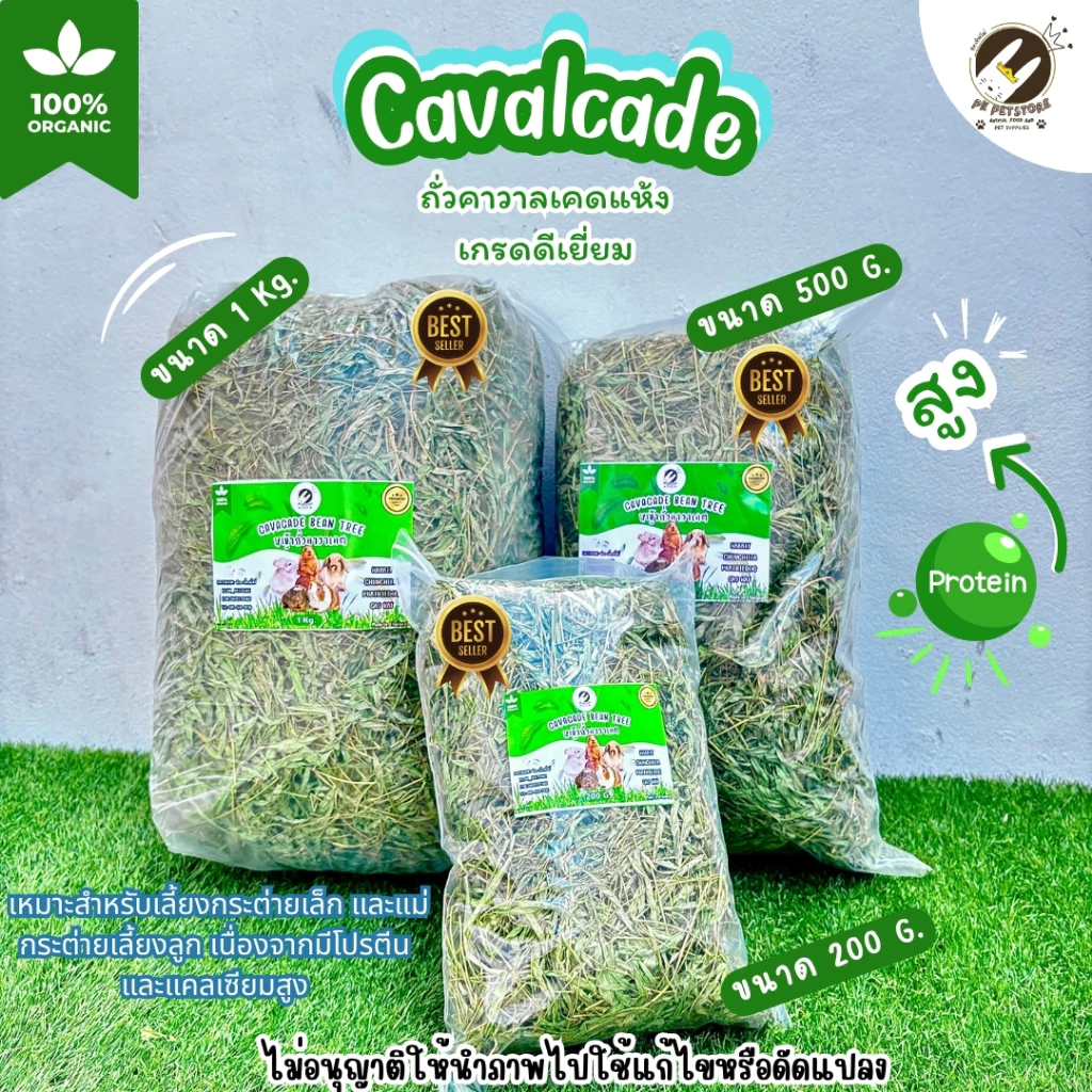 หญ้าถั่วคาวาเคดแห้ง เกรดดีเยี่ยม Cavalcade กลิ่นหอม เหมาะสำหรับเลี้ยง(มี3ขนาด)ถั่วคาวาลเคดให้กระต่ายกินได้ทั้งสดและแห้ง