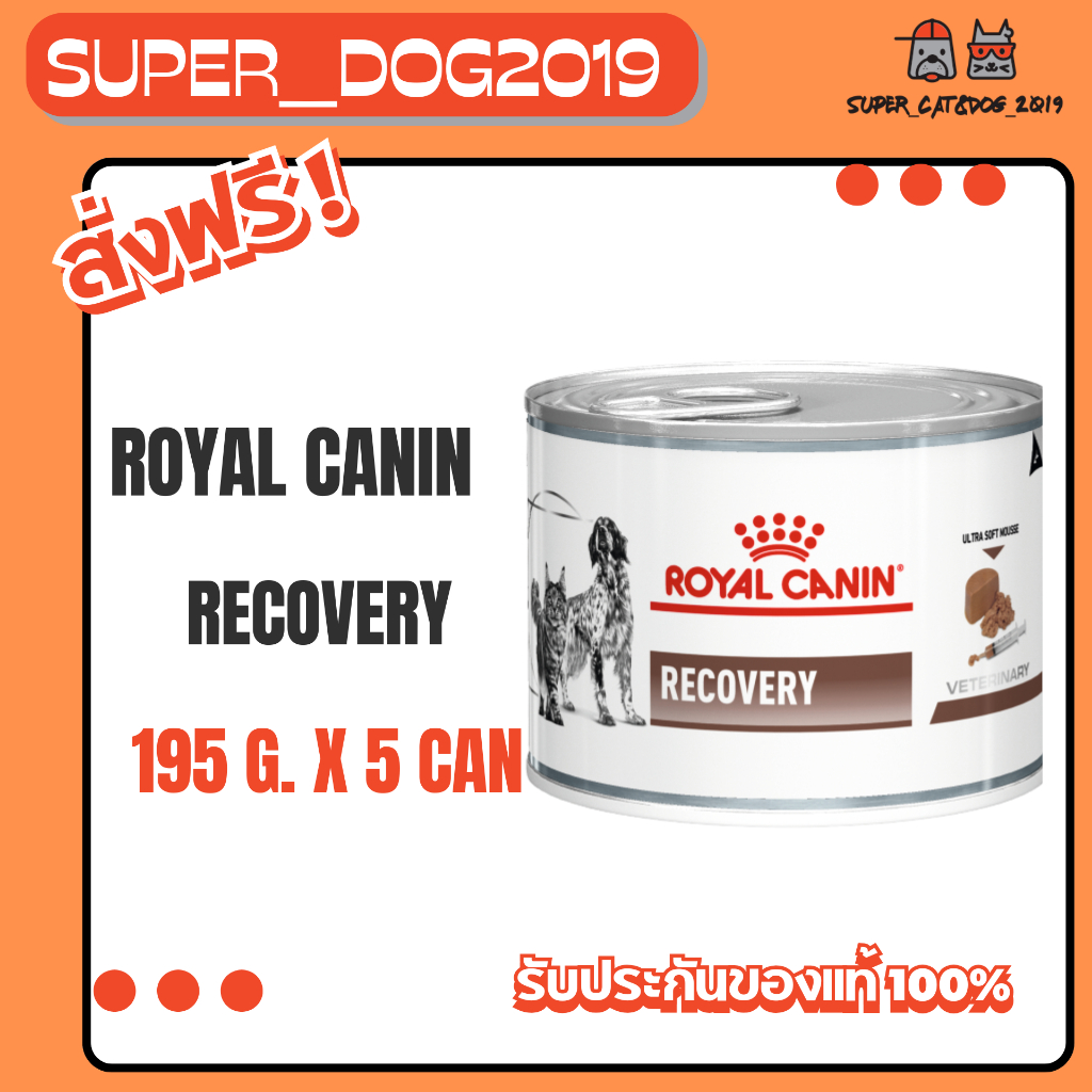 (5 กระป๋อง) Recovery Cats / Dogs อาหาสุนัข อาหารแมว ป่วยพักฟื้นพลังงานสูงโลหิตจาง(195 ก.x5กป.)